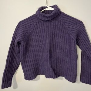 Banana republic purple turtle neck sweater